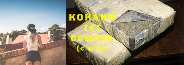 крисы Новозыбков