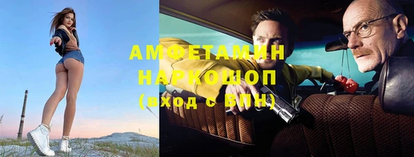прущие грибы Алзамай