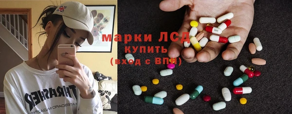 прущие грибы Алзамай